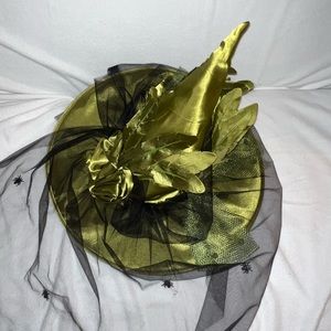 Witch Hat w / black veil